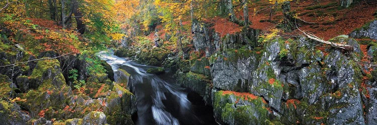 Autumn On River Esk by Dave Bowman wall art