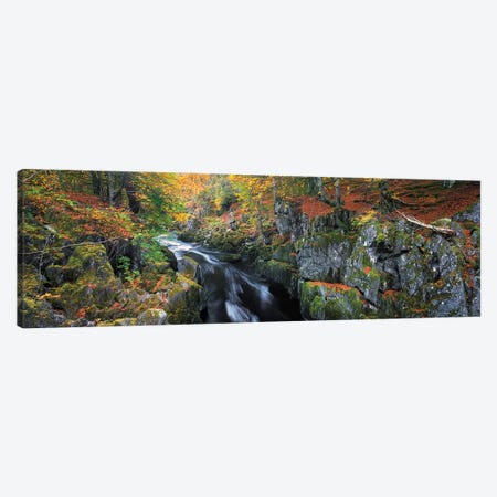 Autumn On River Esk Canvas Print #DVB7} by Dave Bowman Canvas Art Print