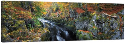 Autumn On River Esk Canvas Art Print - Dave Bowman