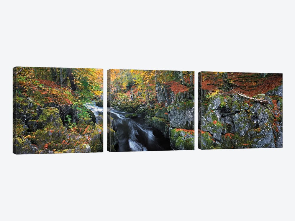 Autumn On River Esk by Dave Bowman 3-piece Art Print