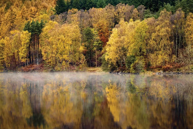 Autumn On River Tummel
