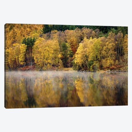 Autumn On River Tummel Canvas Print #DVB8} by Dave Bowman Canvas Wall Art