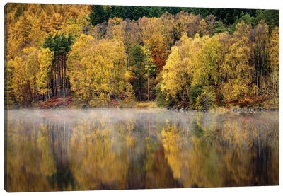 Autumn On River Tummel Canvas Art Print - Dave Bowman