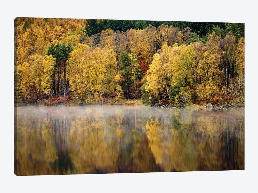 Autumn On River Tummel by Dave Bowman 1-piece Canvas Artwork