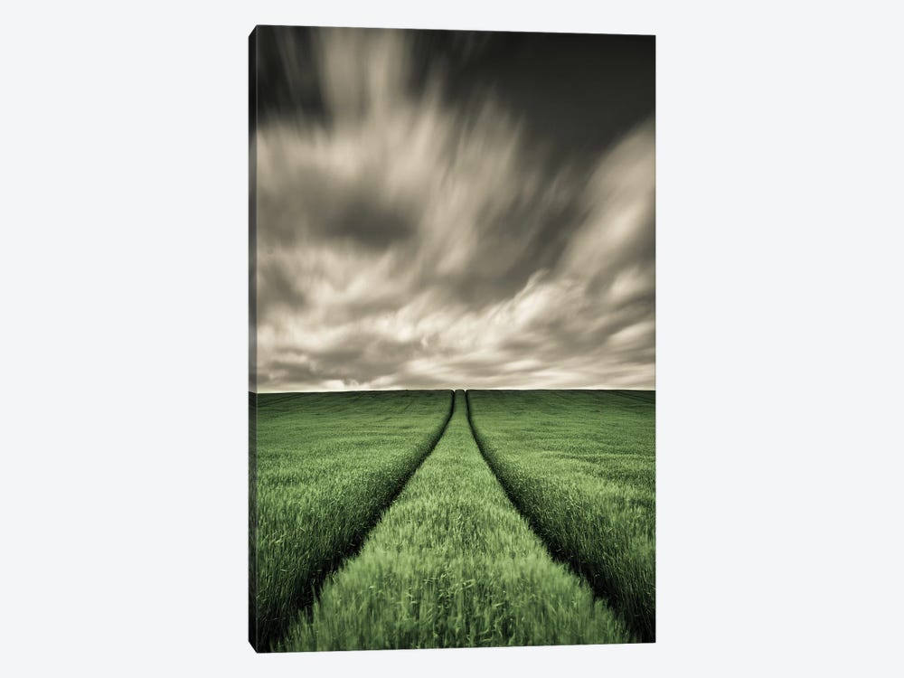 Tracks by Dave Bowman 1-piece Canvas Wall Art