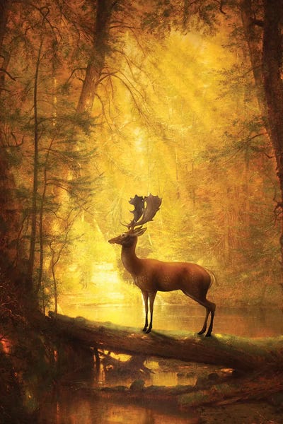 Serenity by Diogo Verissimo framed canvas print