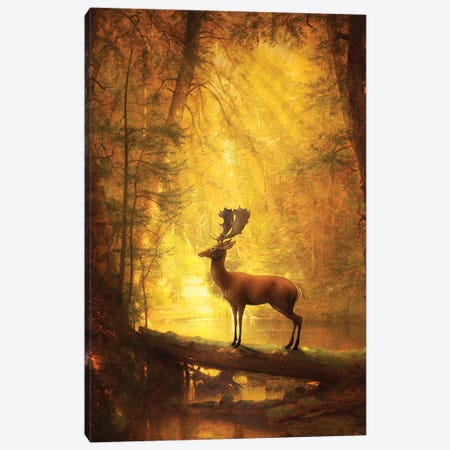 Serenity Canvas Print #DVE103} by Diogo Verissimo Canvas Wall Art