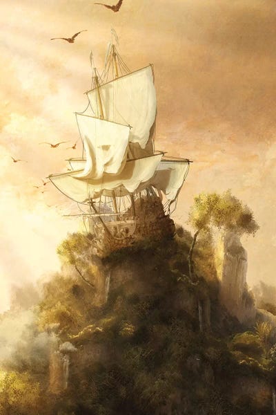 Stranded by Diogo Verissimo framed canvas print