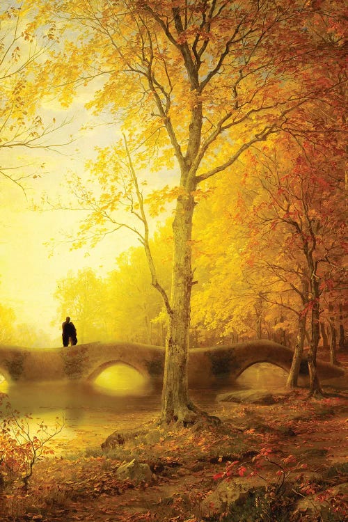 Sunset Walk by Diogo Verissimo wall art