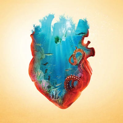Diving Heart by Diogo Verissimo framed canvas print