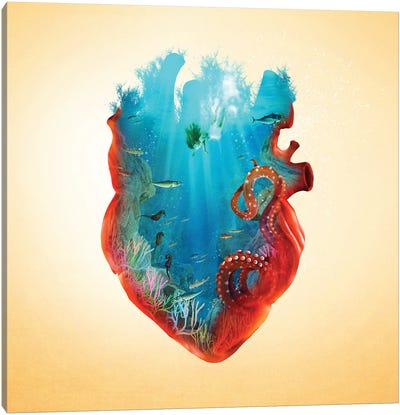 Diving Heart Canvas Art Print - Diogo Verissimo