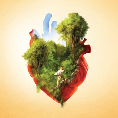 Exploring Heart by Diogo Verissimo canvas print