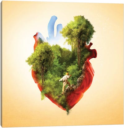 Exploring Heart Canvas Art Print - Diogo Verissimo