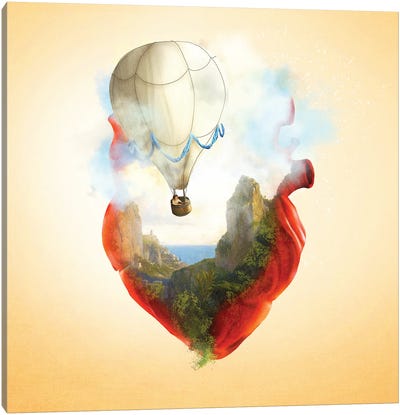 Floating Heart Canvas Art Print - Diogo Verissimo