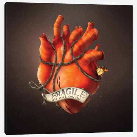 Fragile Heart Canvas Print #DVE112} by Diogo Verissimo Art Print