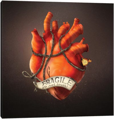 Fragile Heart Canvas Art Print - Diogo Verissimo