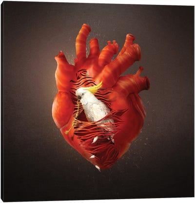 Opening Heart Canvas Art Print - Diogo Verissimo