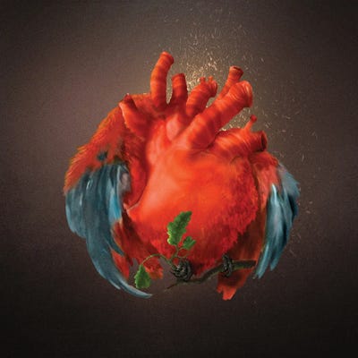 Winged Heart by Diogo Verissimo framed canvas print