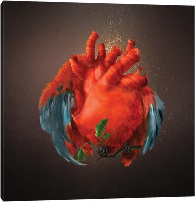 Winged Heart Canvas Art Print - Diogo Verissimo
