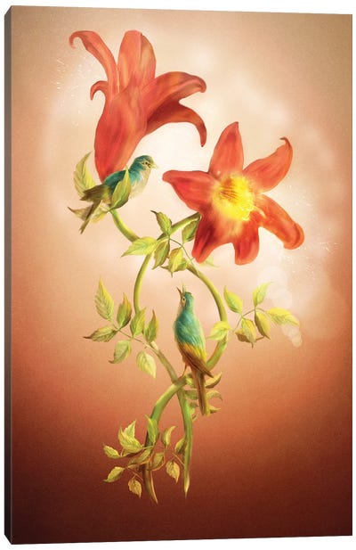 Lovers Flower Canvas Art Print - Diogo Verissimo