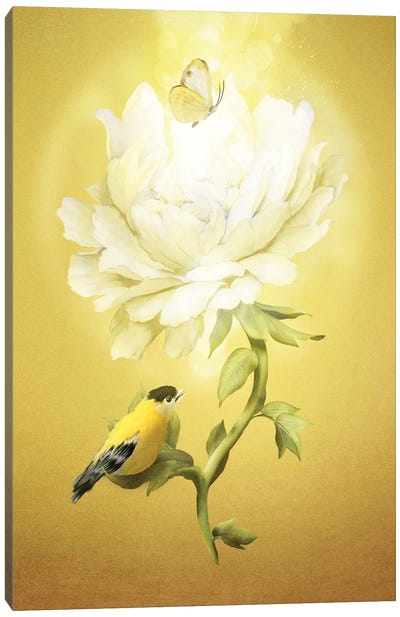 Summer Flower Canvas Art Print - Diogo Verissimo