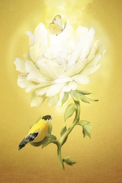 Diogo Verissimo: Summer Flower by Diogo Verissimo
