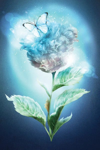 Winter Flower by Diogo Verissimo canvas print