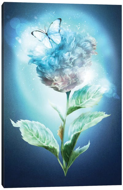 Winter Flower Canvas Art Print - Diogo Verissimo