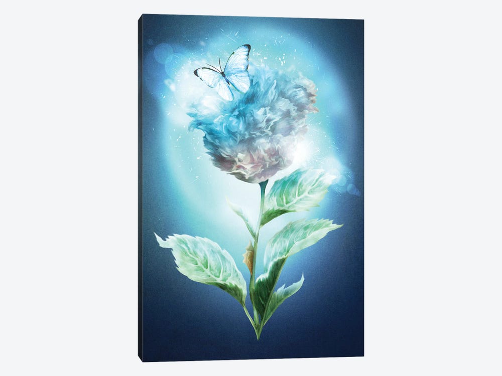 Winter Flower by Diogo Verissimo 1-piece Canvas Wall Art