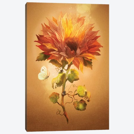 Autumn Flower Canvas Print #DVE119} by Diogo Verissimo Canvas Art Print