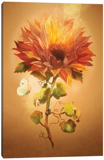 Autumn Flower Canvas Art Print - Diogo Verissimo