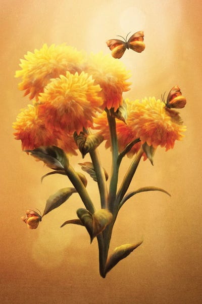 Sunset Bloom by Diogo Verissimo canvas print