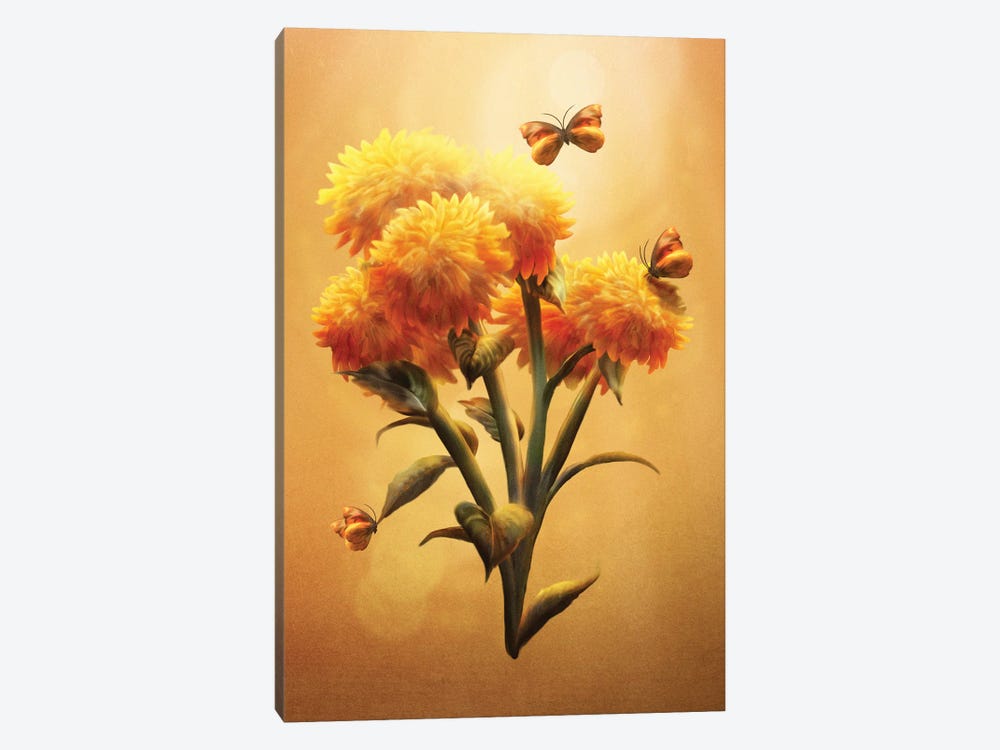 Sunset Bloom by Diogo Verissimo 1-piece Canvas Artwork