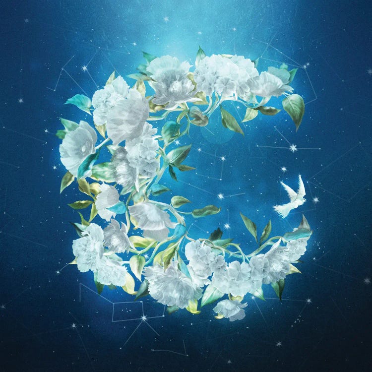 Moonlight Flowers by Diogo Verissimo wall art