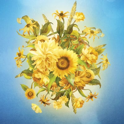 Sunlight Flowers by Diogo Verissimo framed wall art