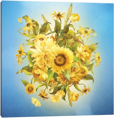 Sunlight Flowers Canvas Art Print - Diogo Verissimo