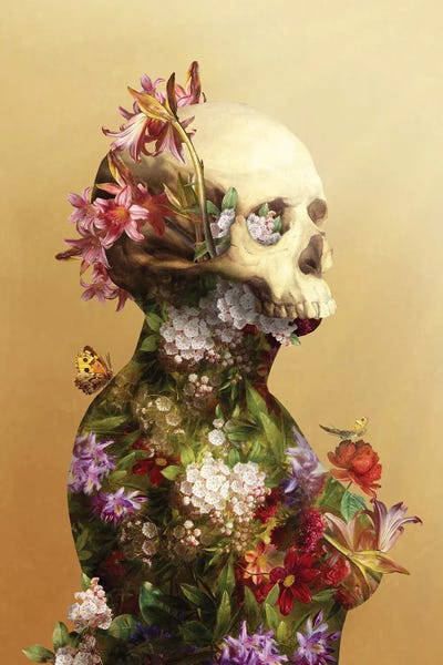 Butterflies and Flowers: Memento Mori by Diogo Verissimo