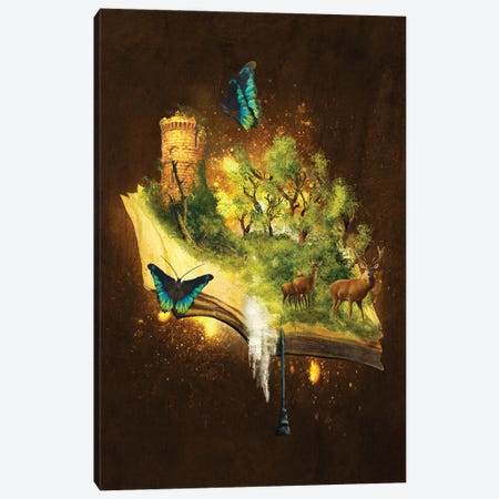 Enchanted Book Canvas Print #DVE138} by Diogo Verissimo Art Print