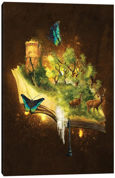 Enchanted Book Canvas Art Print - Fairytale Scenes