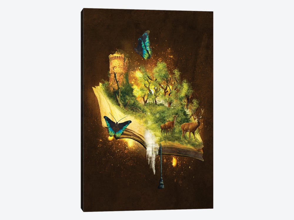 Enchanted Book by Diogo Verissimo 1-piece Canvas Wall Art
