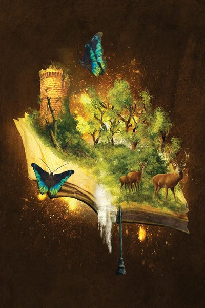 Diogo Verissimo: Enchanted Book by Diogo Verissimo