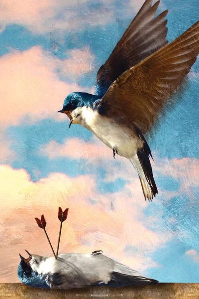 Circle Of Life by Diogo Verissimo canvas print