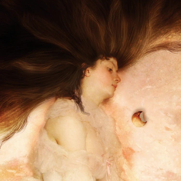 Sleeping Princess by Diogo Verissimo wall art