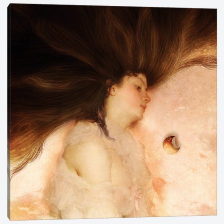 Sleeping Princess Canvas Print #DVE154} by Diogo Verissimo Canvas Wall Art