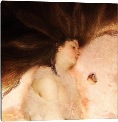 Sleeping Princess Canvas Art Print - Diogo Verissimo