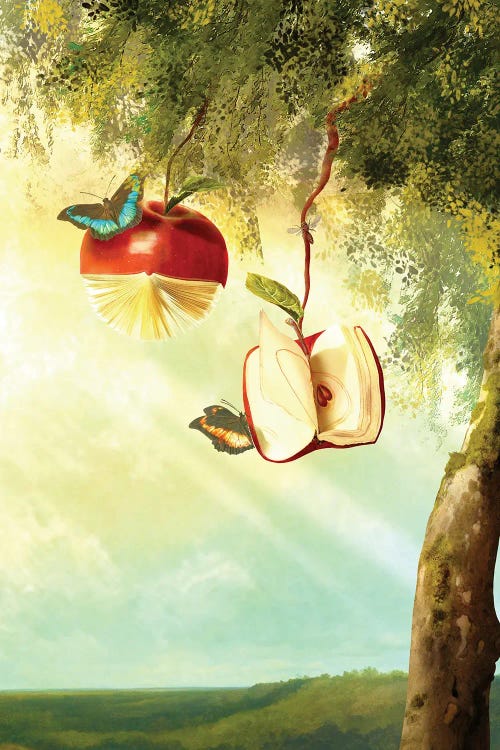 A Story A Day by Diogo Verissimo wall art