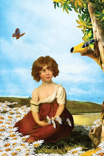 Daisy by Diogo Verissimo framed wall art