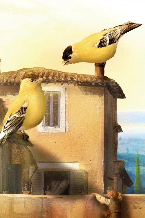 Big Birds by Diogo Verissimo wall art