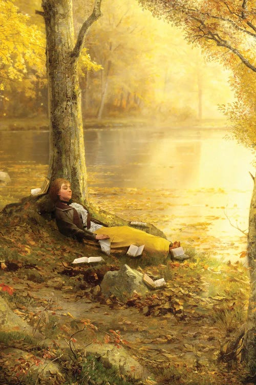 Reading Under A Golden Sun