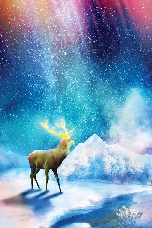 Deer Aurora by Diogo Verissimo wall art